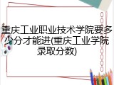 重庆工业职业技术学院要多少分才能进(重庆工业学院录取分数)