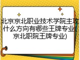 北京京北职业技术学院主攻什么方向有哪些王牌专业(京北职院王牌专业)