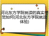 河北东方学院就读的真实感觉如何(河北东方学院就读体验)