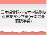 云南锡业职业技术学院到毕业要花多少学费(云南锡业职院学费)