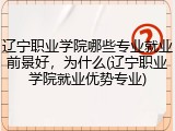 辽宁职业学院哪些专业就业前景好，为什么(辽宁职业学院就业优势专业)