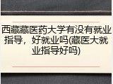 西藏藏医药大学有没有就业指导，好就业吗(藏医大就业指导好吗)