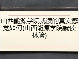 山西能源学院就读的真实感觉如何(山西能源学院就读体验)