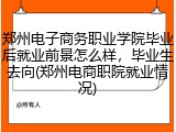 郑州电子商务职业学院毕业后就业前景怎么样，毕业生去向(郑州电商职院就业情况)
