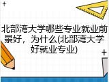 北部湾大学哪些专业就业前景好，为什么(北部湾大学好就业专业)