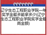 辽宁生态工程职业学院一年奖学金最多能拿多少(辽宁生态工程职业学院奖学金最高金额)