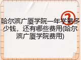 哈尔滨广厦学院一年学费多少钱，还有哪些费用(哈尔滨广厦学院费用)
