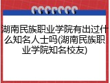 湖南民族职业学院有出过什么知名人士吗(湖南民族职业学院知名校友)