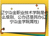 辽宁冶金职业技术学院是什么级别，公办还是民办(辽宁冶金学院属性)