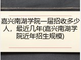 嘉兴南湖学院一届招收多少人，最近几年(嘉兴南湖学院近年招生规模)