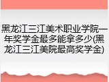 黑龙江三江美术职业学院一年奖学金最多能拿多少(黑龙江三江美院最高奖学金)