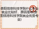 贵阳信息科技学院什么专业就业比较好，原因是啥(贵阳信息科技学院就业优势专业)