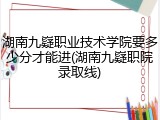 湖南九嶷职业技术学院要多少分才能进(湖南九嶷职院录取线)