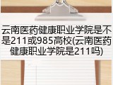 云南医药健康职业学院是不是211或985高校(云南医药健康职业学院是211吗)