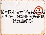 长春职业技术学院有没有就业指导，好就业吗(长春职院就业好吗)
