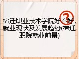宿迁职业技术学院好不好，就业现状及发展趋势(宿迁职院就业前景)