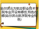 哈尔滨北方航空职业技术学院专业开设有哪些,特色在哪(哈尔滨北航学院专业特色)