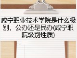 咸宁职业技术学院是什么级别，公办还是民办(咸宁职院级别性质)