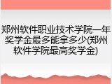 郑州软件职业技术学院一年奖学金最多能拿多少(郑州软件学院最高奖学金)