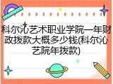 科尔沁艺术职业学院一年财政拨款大概多少钱(科尔沁艺院年拨款)