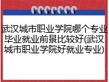 武汉城市职业学院哪个专业毕业就业前景比较好(武汉城市职业学院好就业专业)