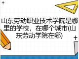 山东劳动职业技术学院是哪里的学校，在哪个城市(山东劳动学院在哪)