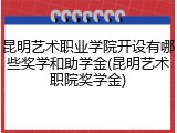 昆明艺术职业学院开设有哪些奖学和助学金(昆明艺术职院奖学金)