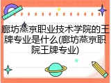 廊坊燕京职业技术学院的王牌专业是什么(廊坊燕京职院王牌专业)