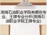 渤海石油职业学院有哪些专业，王牌专业分析(渤海石油职业学院王牌专业)