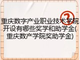 重庆数字产业职业技术学院开设有哪些奖学和助学金(重庆数产学院奖助学金)