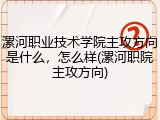 漯河职业技术学院主攻方向是什么，怎么样(漯河职院主攻方向)