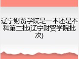 辽宁财贸学院是一本还是本科第二批(辽宁财贸学院批次)
