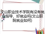 文山职业技术学院有没有就业指导，好就业吗(文山职院就业如何)
