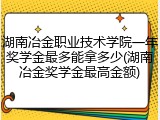 湖南冶金职业技术学院一年奖学金最多能拿多少(湖南冶金奖学金最高金额)