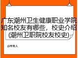 广东潮州卫生健康职业学院知名校友有哪些，校史介绍(潮州卫职院校友校史)