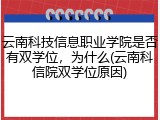 云南科技信息职业学院是否有双学位，为什么(云南科信院双学位原因)