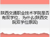 陕西交通职业技术学院是否有双学位，为什么(陕西交院双学位原因)