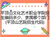 平顶山文化艺术职业学院招生编码多少，隶属哪个部门(平顶山艺院招生代码)