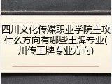 四川文化传媒职业学院主攻什么方向有哪些王牌专业(川传王牌专业方向)