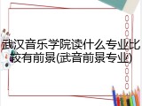 武汉音乐学院读什么专业比较有前景(武音前景专业)