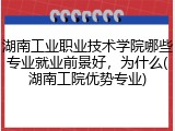 湖南工业职业技术学院哪些专业就业前景好，为什么(湖南工院优势专业)