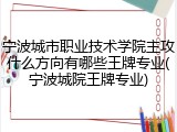宁波城市职业技术学院主攻什么方向有哪些王牌专业(宁波城院王牌专业)