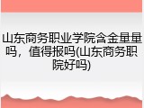 山东商务职业学院含金量量吗，值得报吗(山东商务职院好吗)