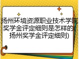 扬州环境资源职业技术学院奖学金评定细则是怎样的(扬州奖学金评定细则)