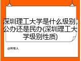深圳理工大学是什么级别，公办还是民办(深圳理工大学级别性质)