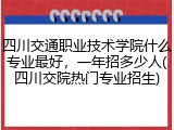 四川交通职业技术学院什么专业最好，一年招多少人(四川交院热门专业招生)
