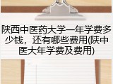 陕西中医药大学一年学费多少钱，还有哪些费用(陕中医大年学费及费用)