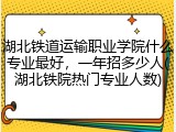 湖北铁道运输职业学院什么专业最好，一年招多少人(湖北铁院热门专业人数)