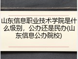 山东信息职业技术学院是什么级别，公办还是民办(山东信息公办院校)
