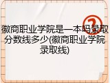 徽商职业学院是一本吗录取分数线多少(徽商职业学院录取线)